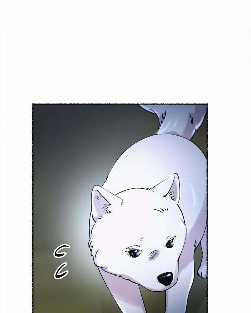 Read Like Wind on a Dry Branch chapter 81 image 97 on Lezhin