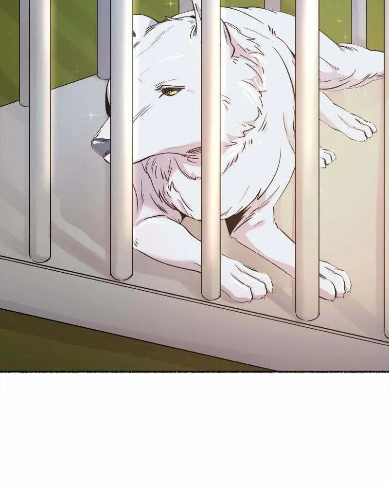 Read Like Wind on a Dry Branch chapter 82 image 82 on Lezhin