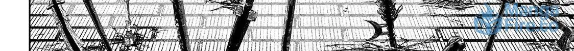 Read Lili-Men chapter 63 image 11 on Lezhin