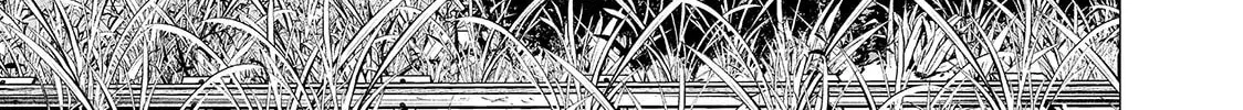 Read Lili-Men chapter 87 image 30 on Lezhin