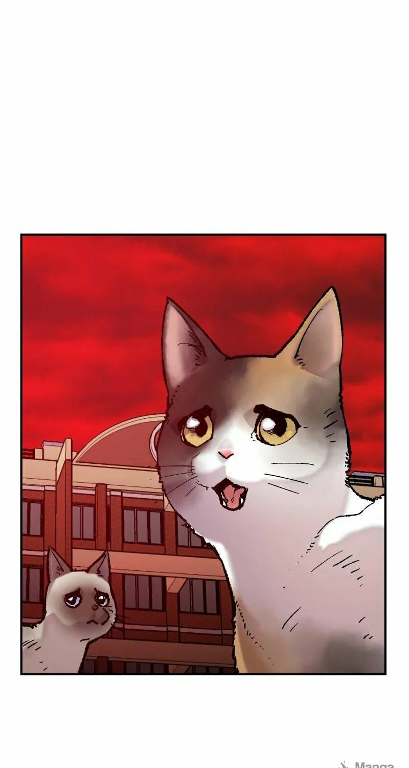 Read Limit Breaker chapter 41 image 82 on Lezhin