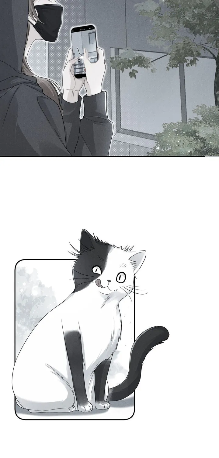 Link Click Chapter 13 page 11 - 