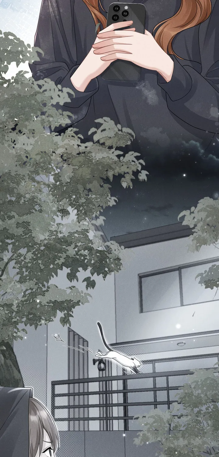 Link Click Chapter 13 page 10 - 