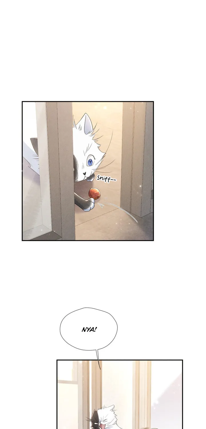 Link Click Chapter 14 page 13 - 