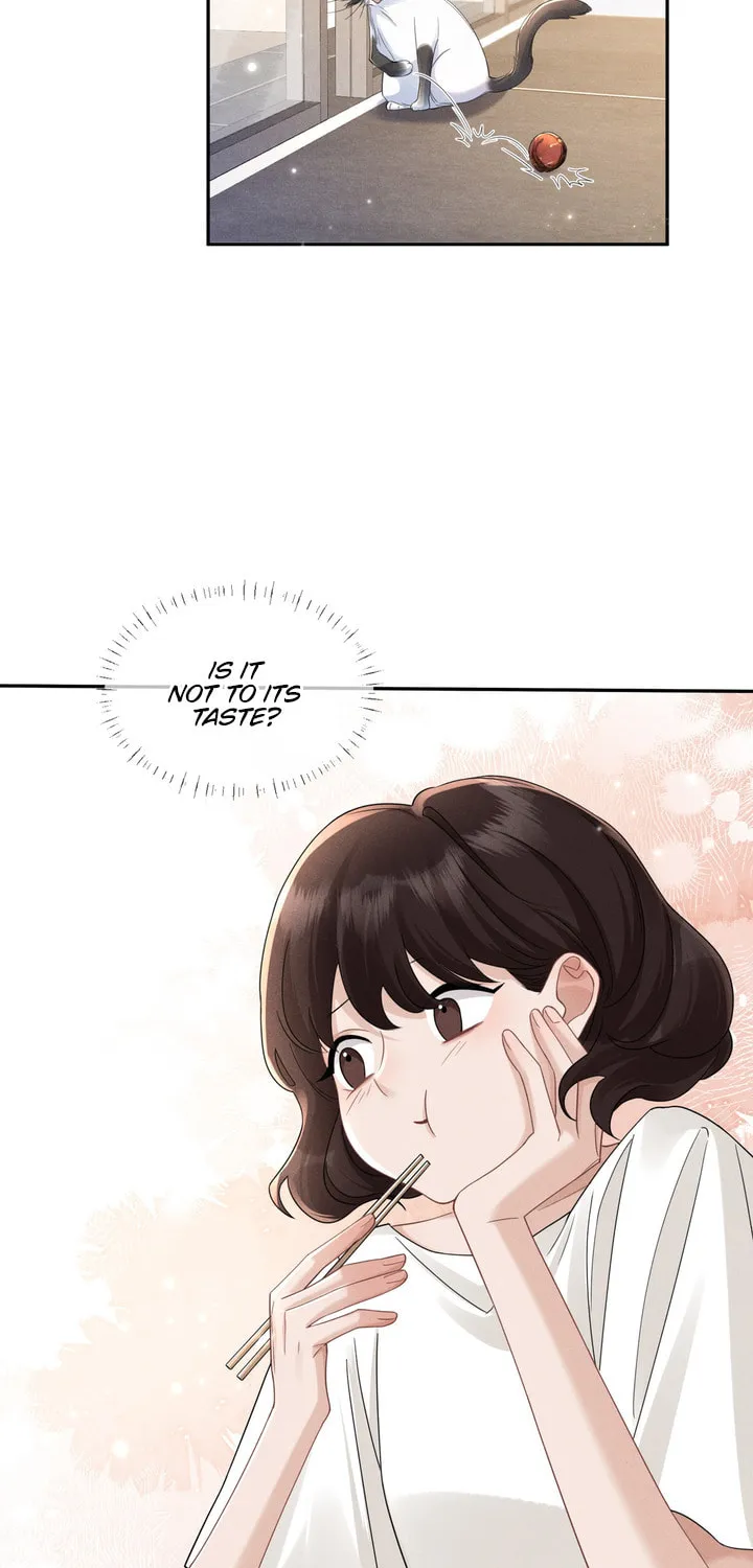 Link Click Chapter 14 page 14 - 