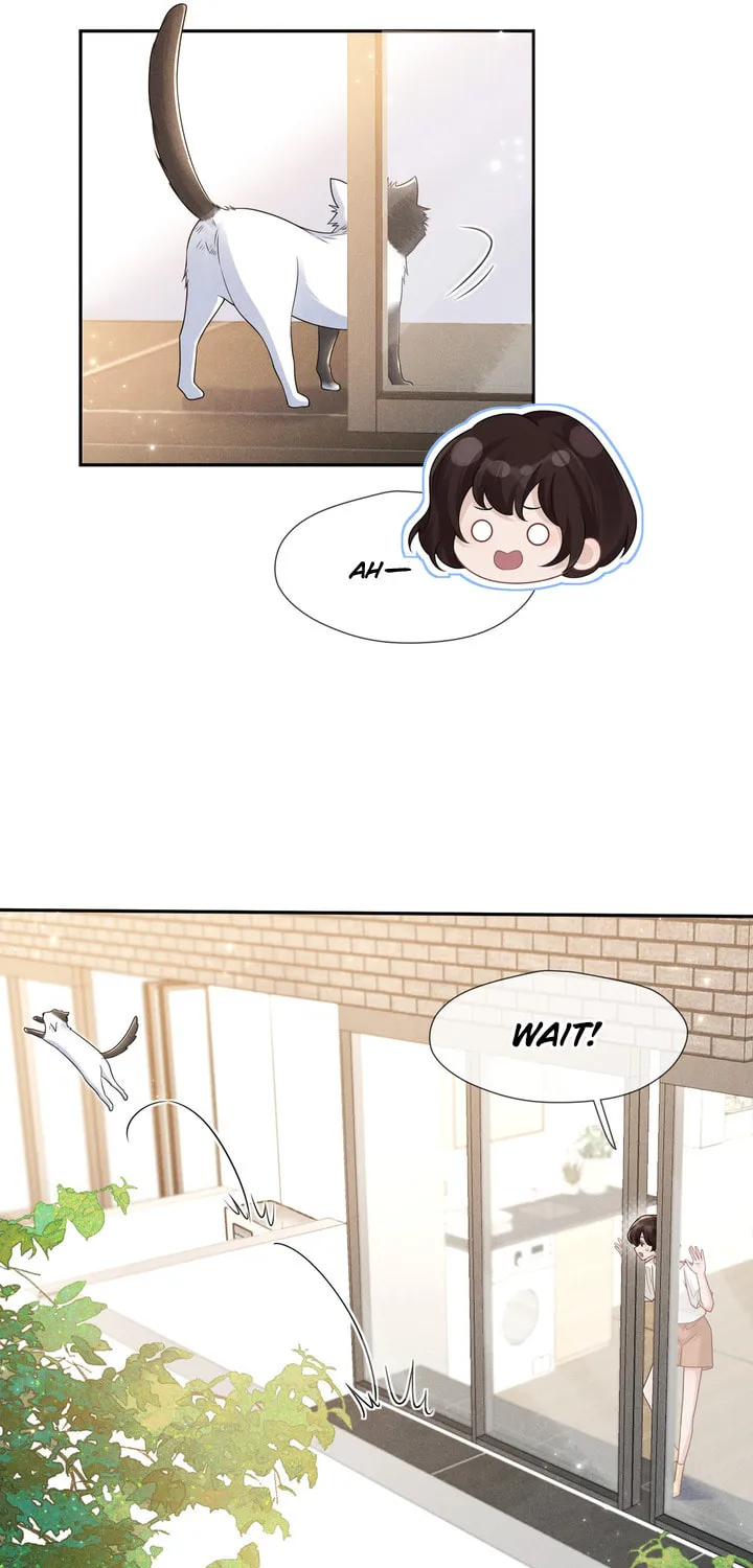 Link Click Chapter 14 page 16 - 