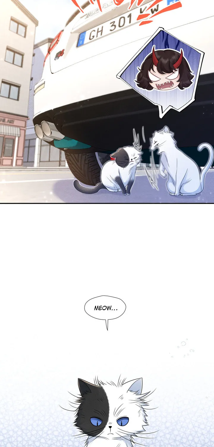 Link Click Chapter 14 page 18 - 
