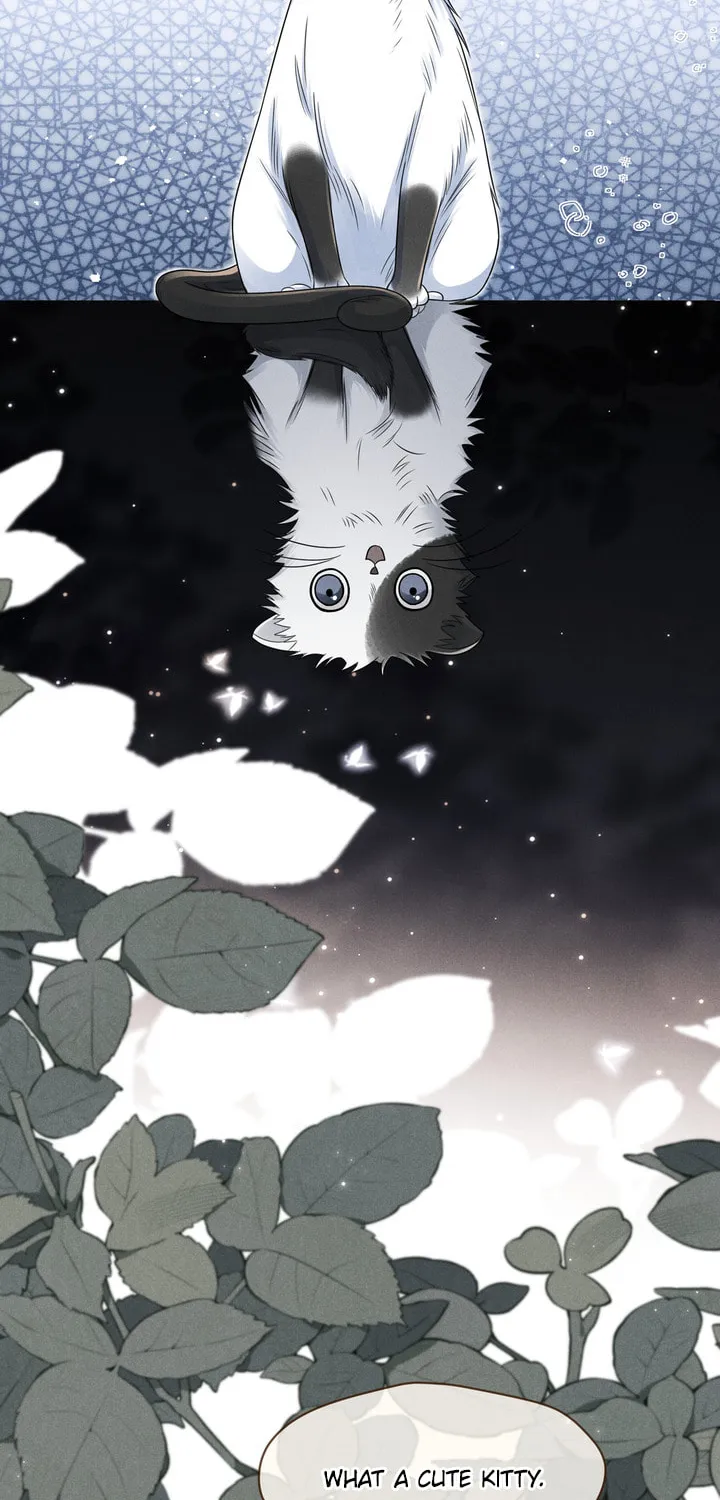 Link Click Chapter 14 page 19 - 