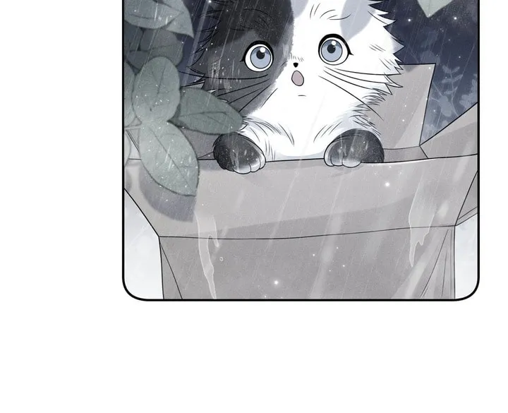 Link Click Chapter 14 page 22 - 