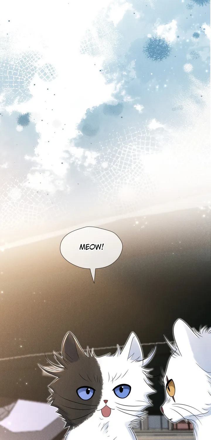 Link Click Chapter 14 page 24 - 