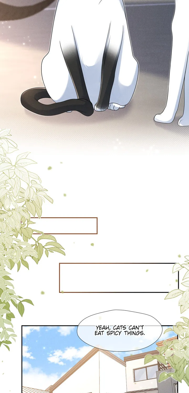 Link Click Chapter 14 page 25 - 