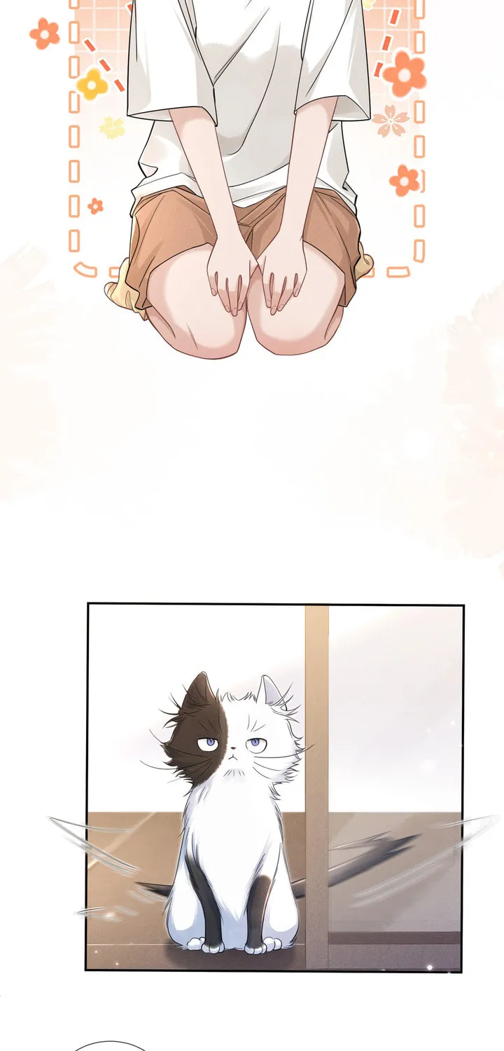 Link Click Chapter 14 page 4 - 