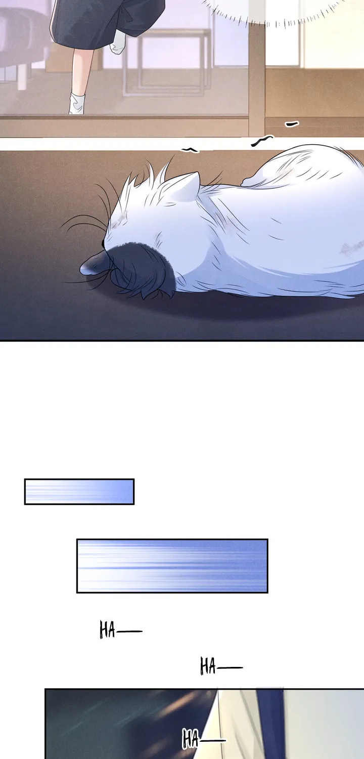 Link Click Chapter 14 page 40 - 