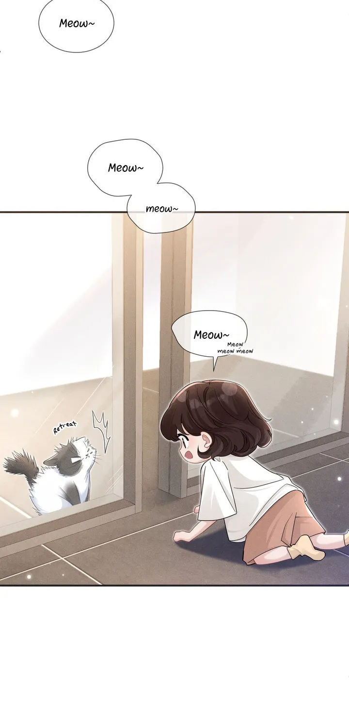 Link Click Chapter 14 page 5 - 