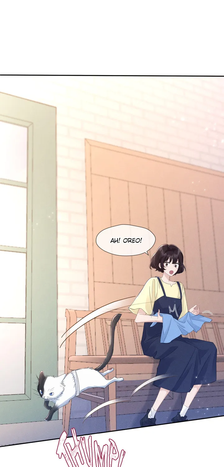 Link Click Chapter 14 page 47 - 