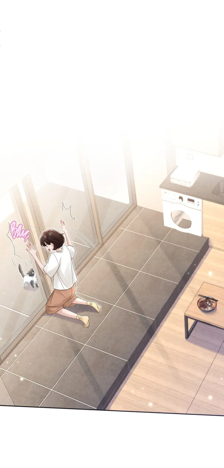 Link Click Chapter 14 page 6 - 