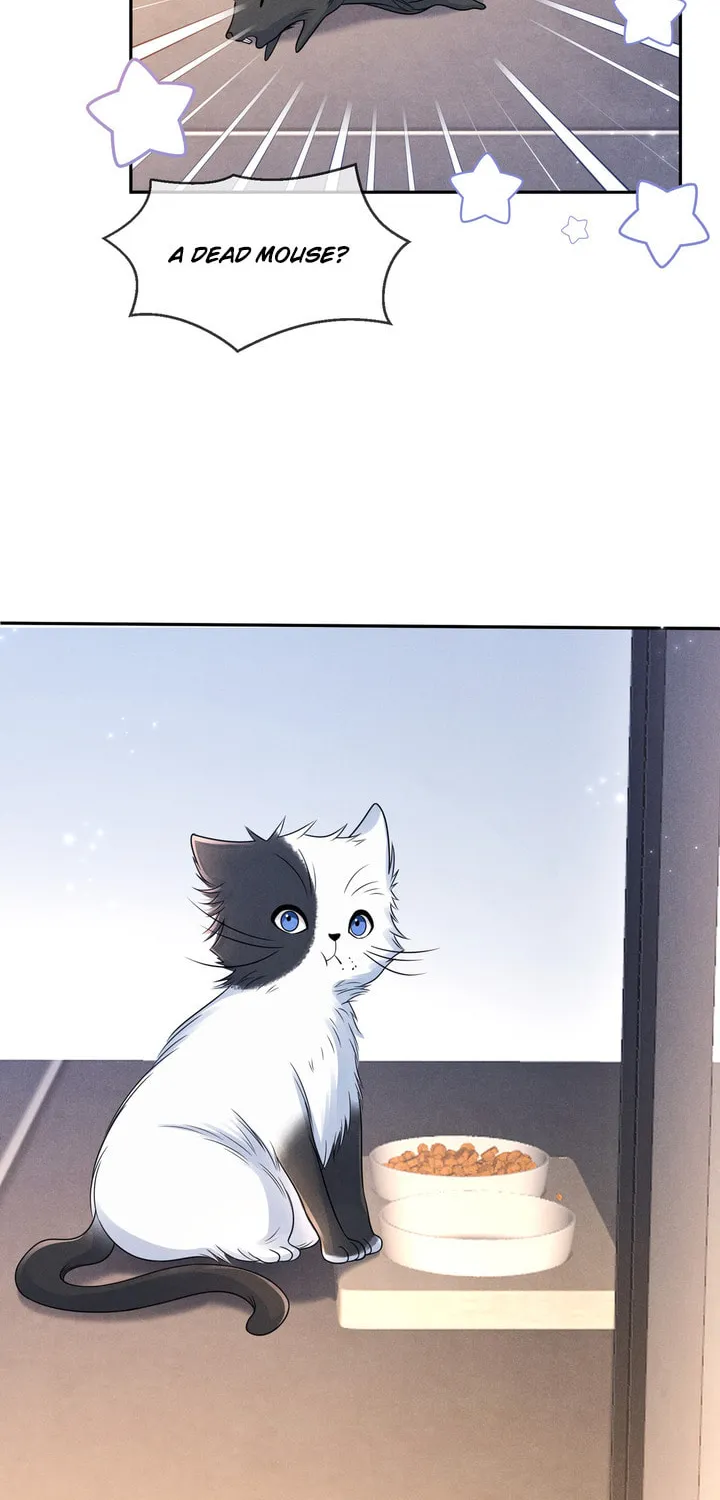 Link Click Chapter 14 page 54 - 