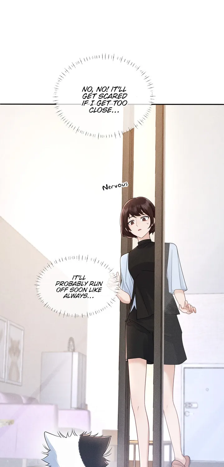 Link Click Chapter 14 page 58 - 