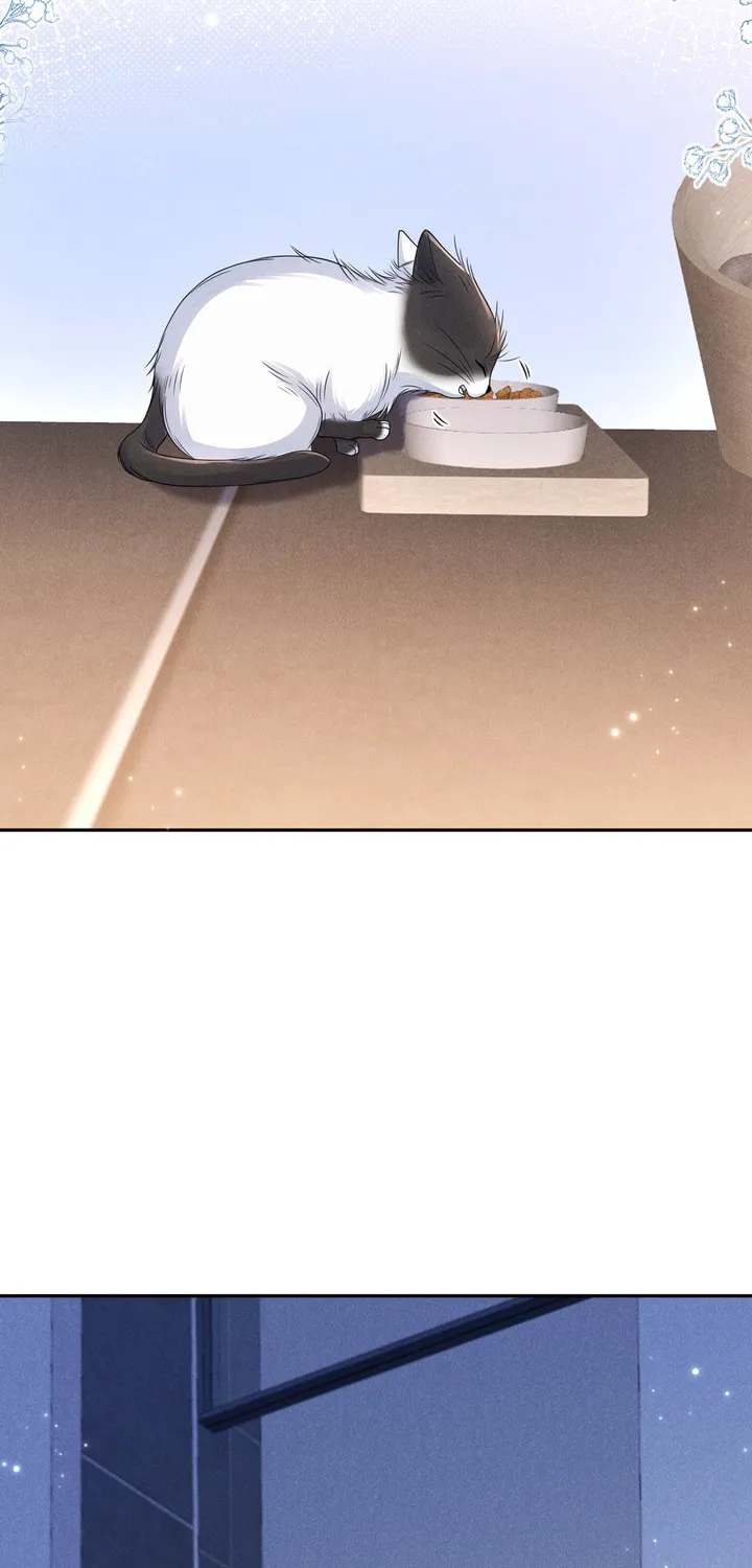 Link Click Chapter 14 page 61 - 