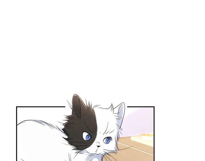 Link Click Chapter 15 page 13 - 