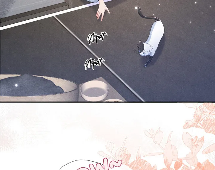 Link Click Chapter 15 page 15 - 