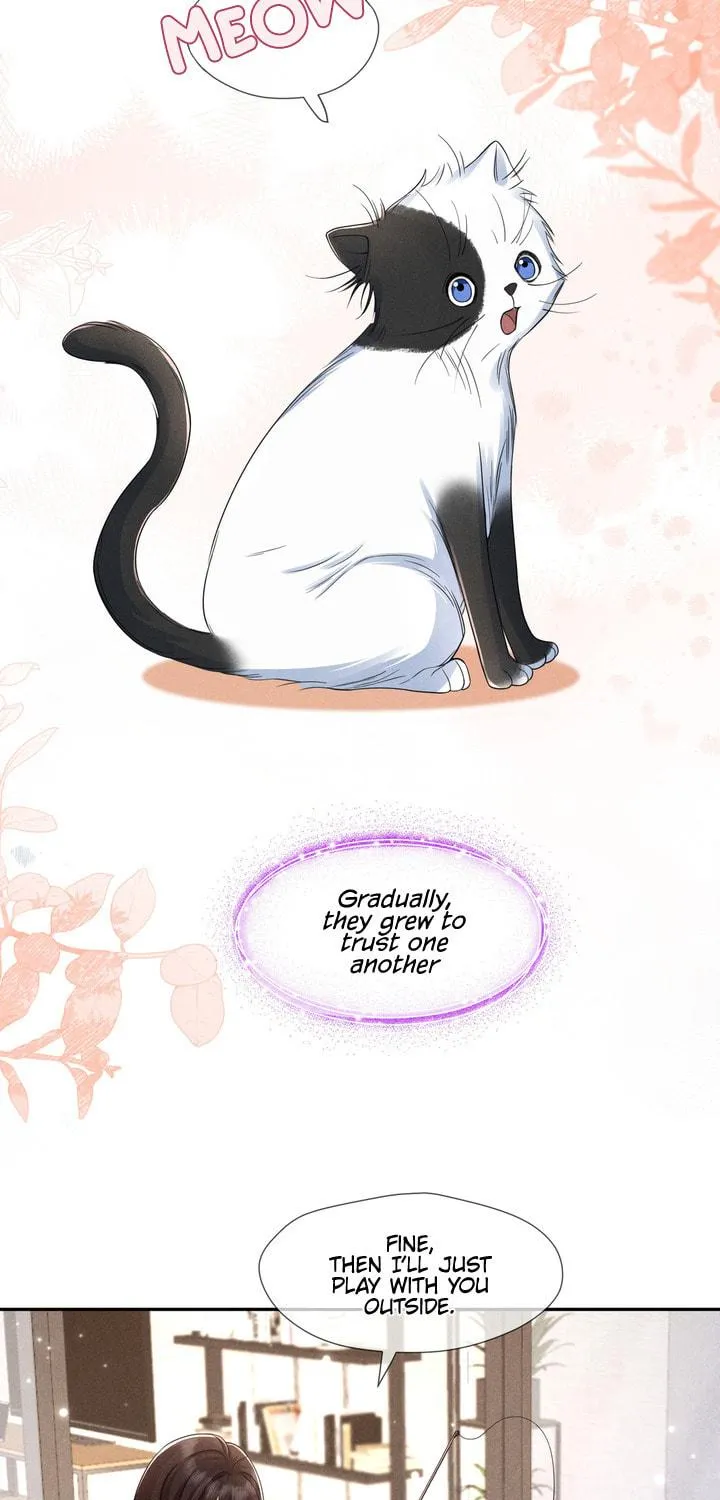Link Click Chapter 15 page 16 - 