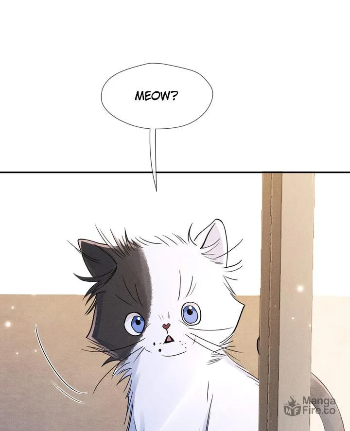 Link Click Chapter 15 page 71 - 