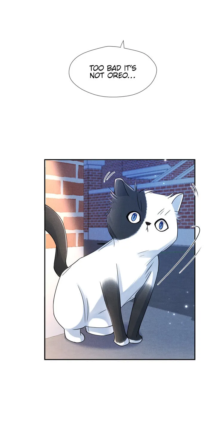 Link Click Chapter 16 page 35 - 