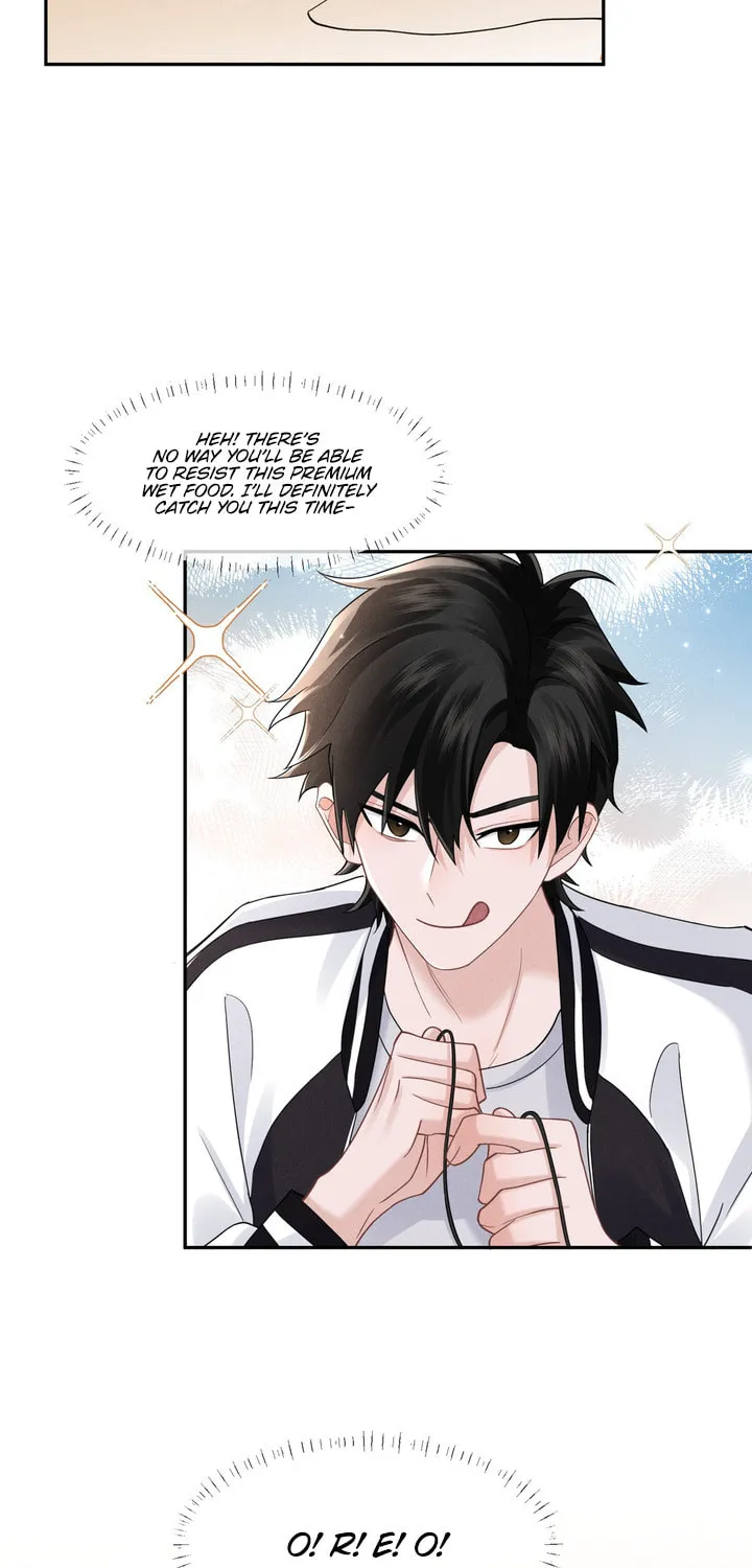 Link Click Chapter 16 page 47 - 