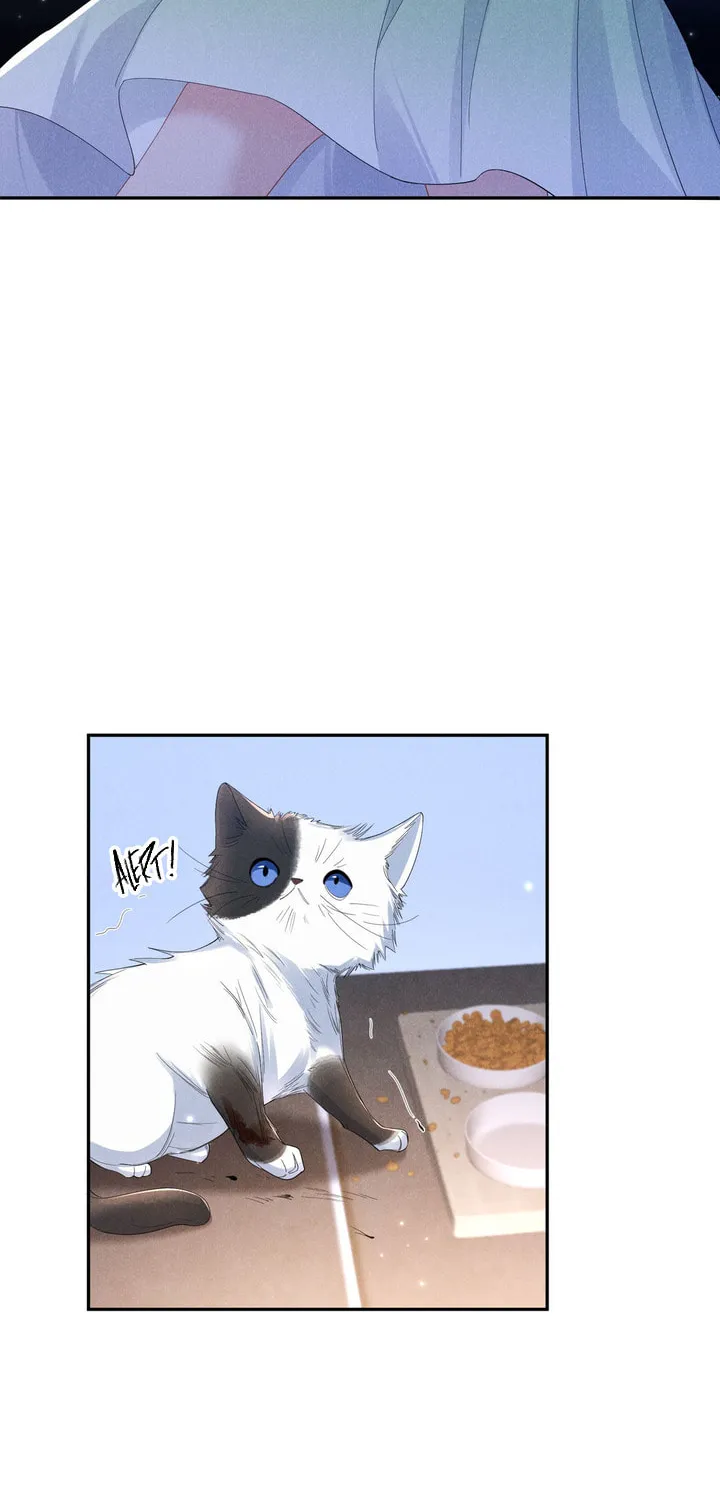Link Click Chapter 17 page 14 - 