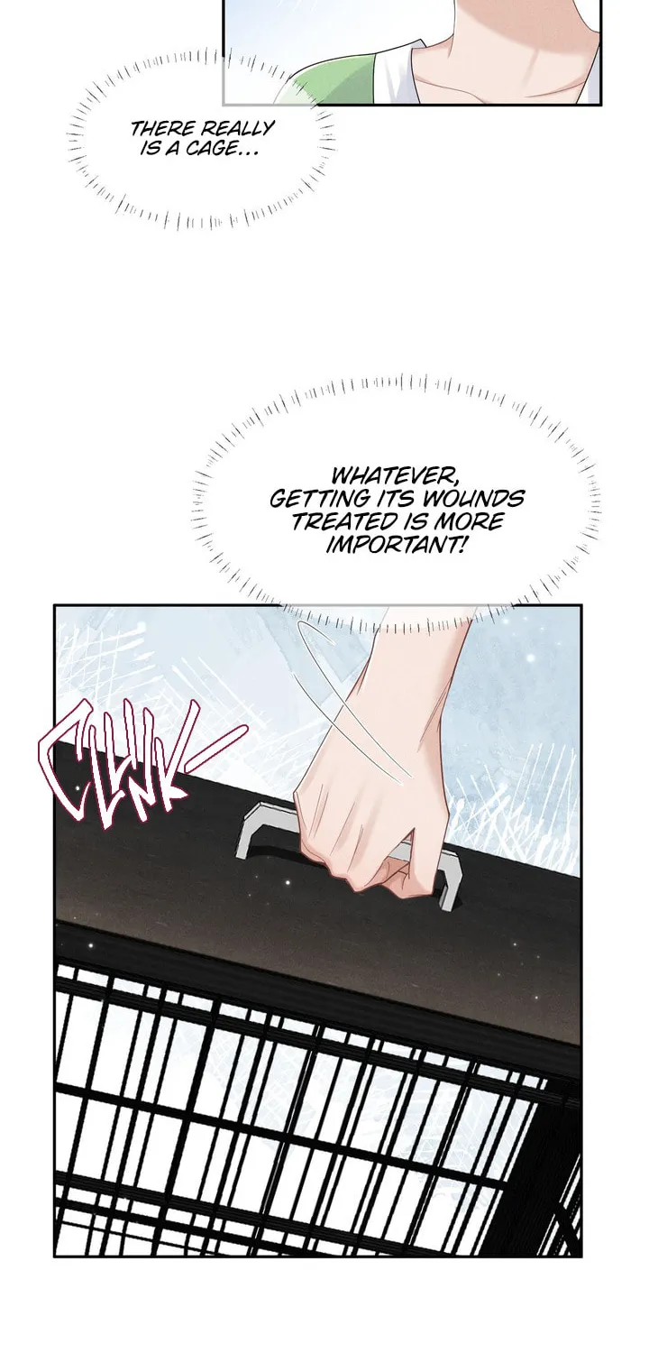 Link Click Chapter 17 page 21 - 