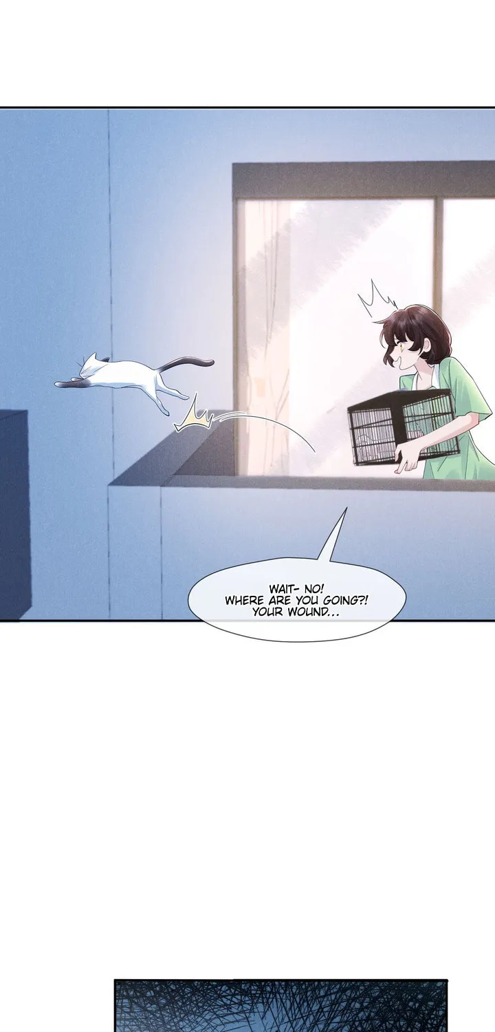 Link Click Chapter 17 page 25 - 
