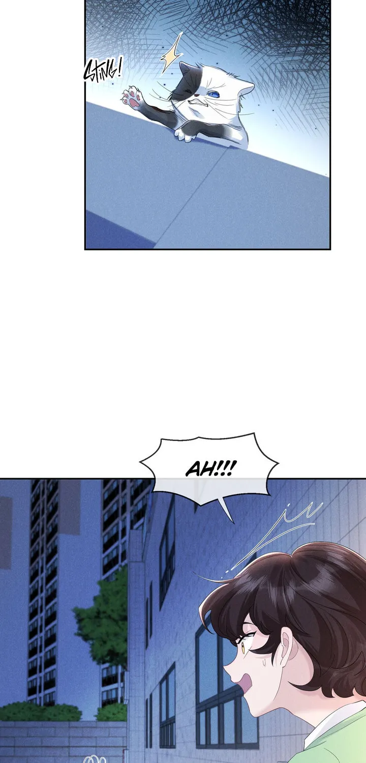 Link Click Chapter 17 page 26 - 