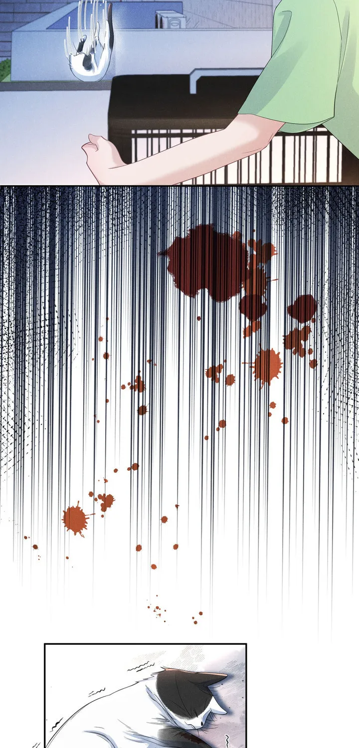Link Click Chapter 17 page 27 - 