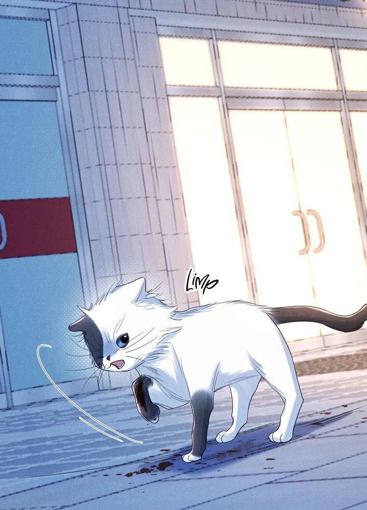 Link Click Chapter 17 page 29 - 