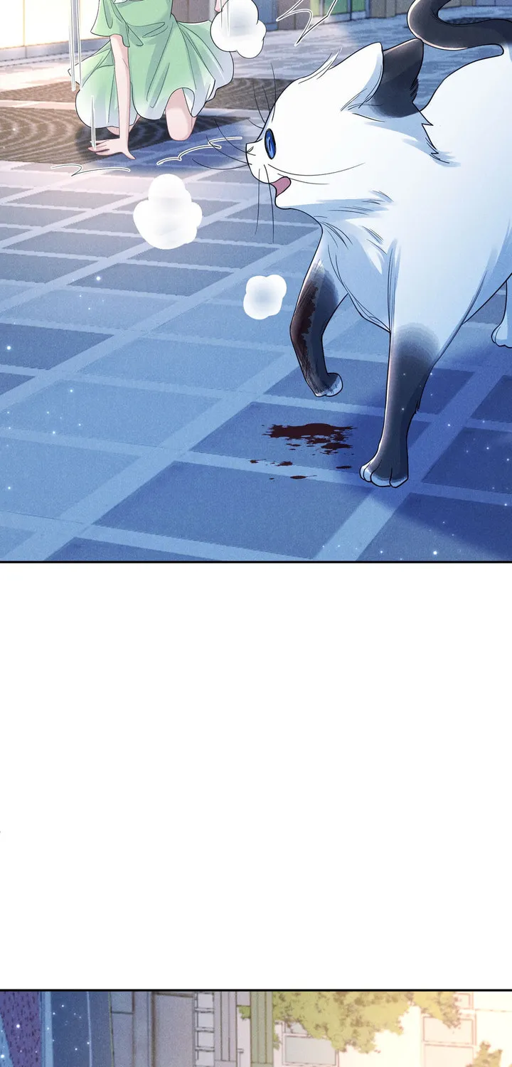 Link Click Chapter 17 page 33 - 