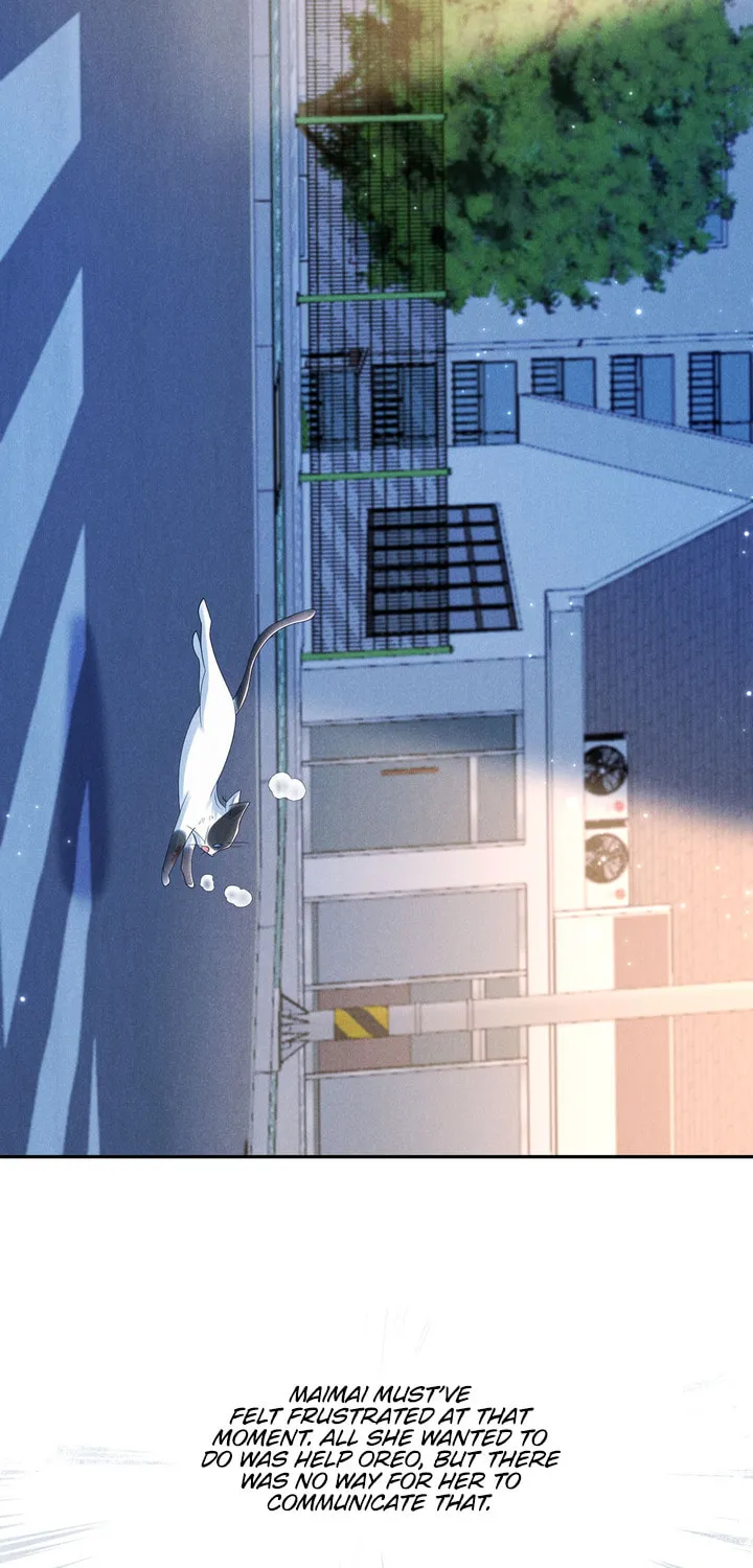 Link Click Chapter 17 page 35 - 
