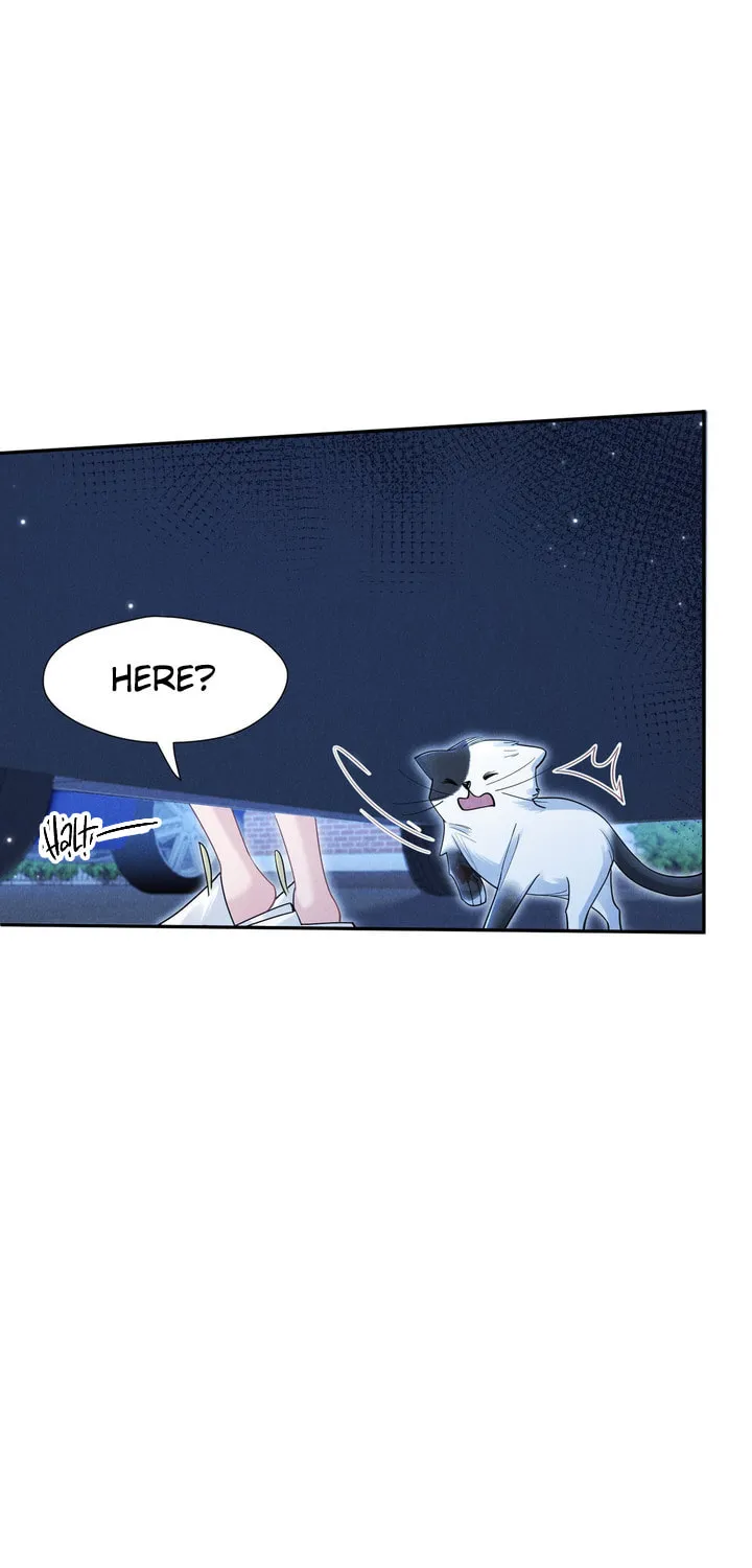 Link Click Chapter 17 page 44 - 