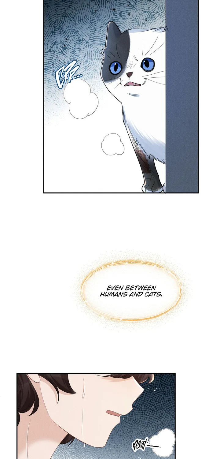 Link Click Chapter 17 page 49 - 