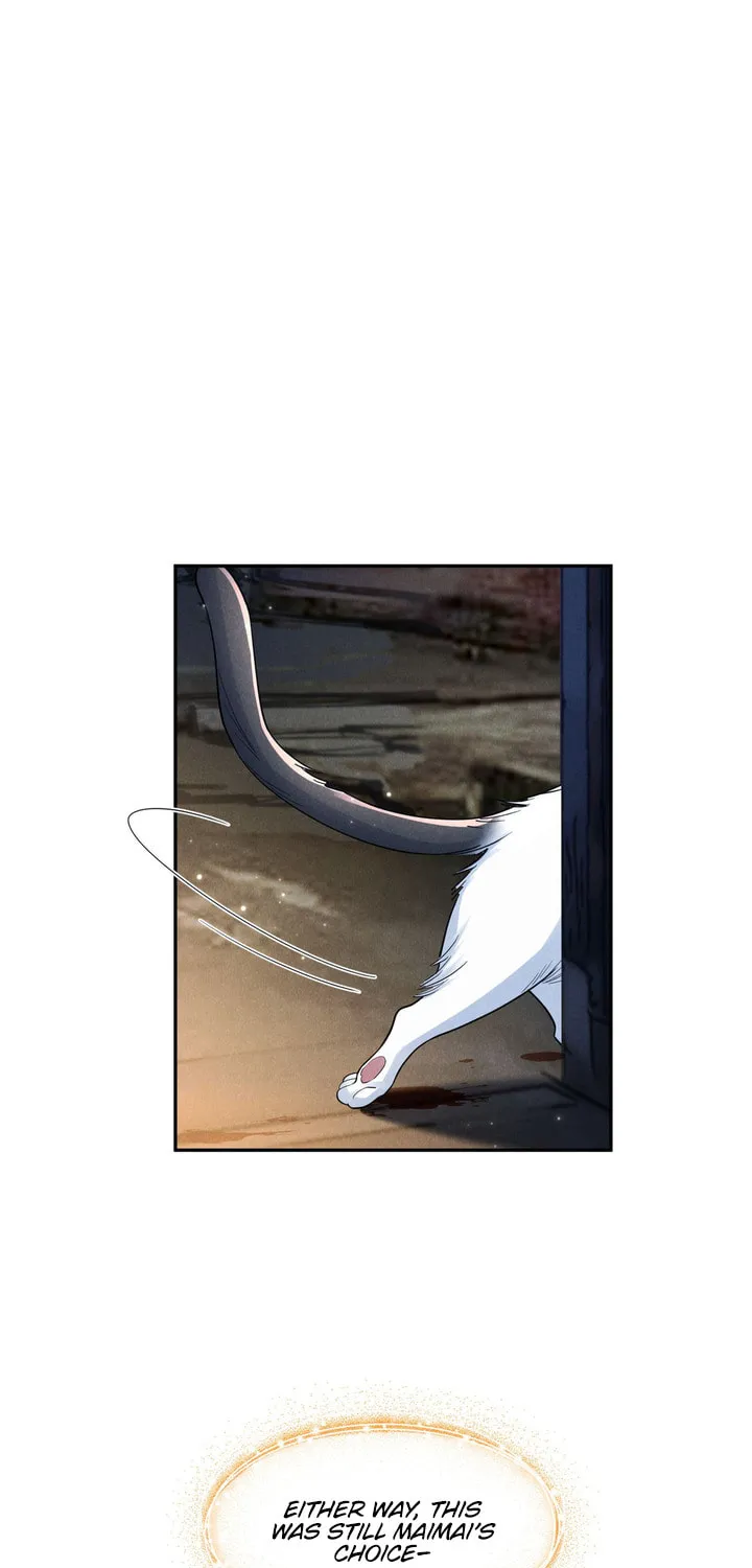 Link Click Chapter 17 page 55 - 