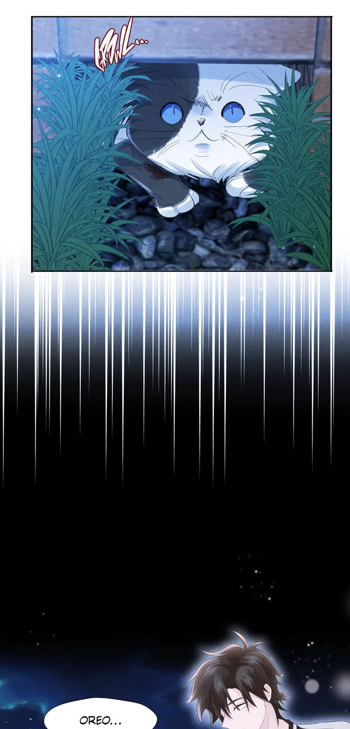 Link Click Chapter 17 page 60 - 