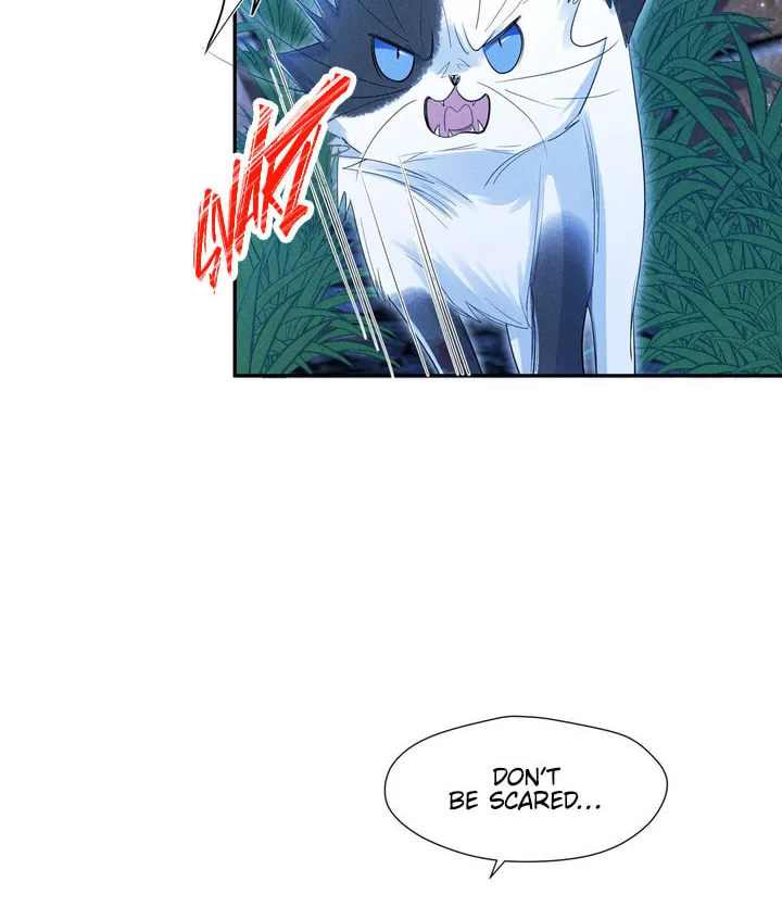 Link Click Chapter 17 page 63 - 