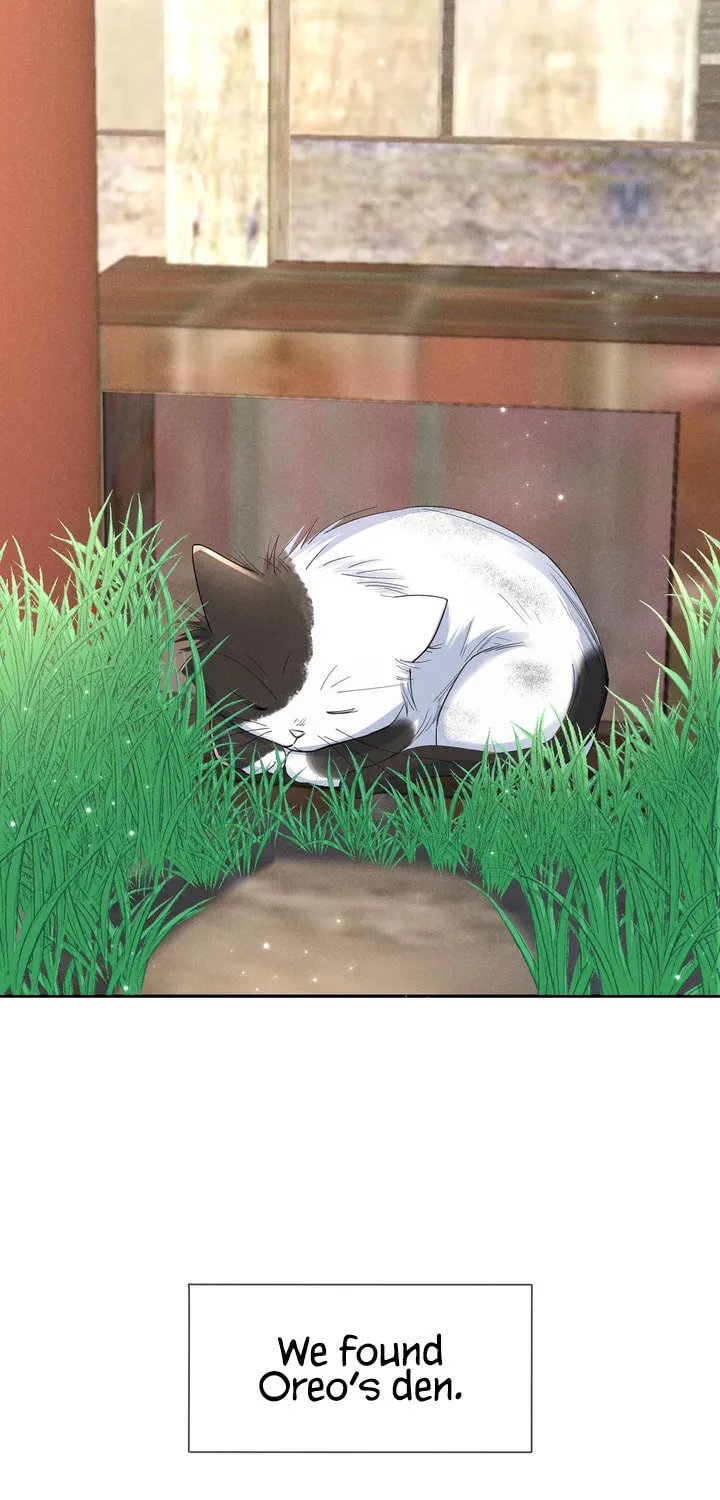 Link Click Chapter 18 page 6 - 