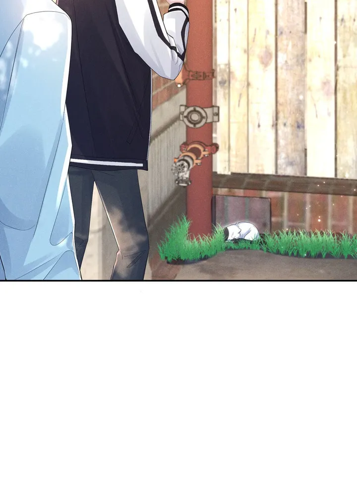Link Click Chapter 18 page 8 - 