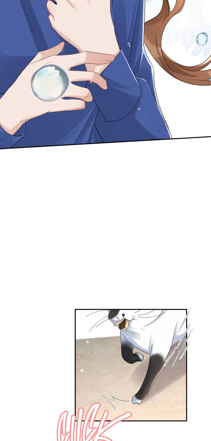Link Click Chapter 20 page 44 - 