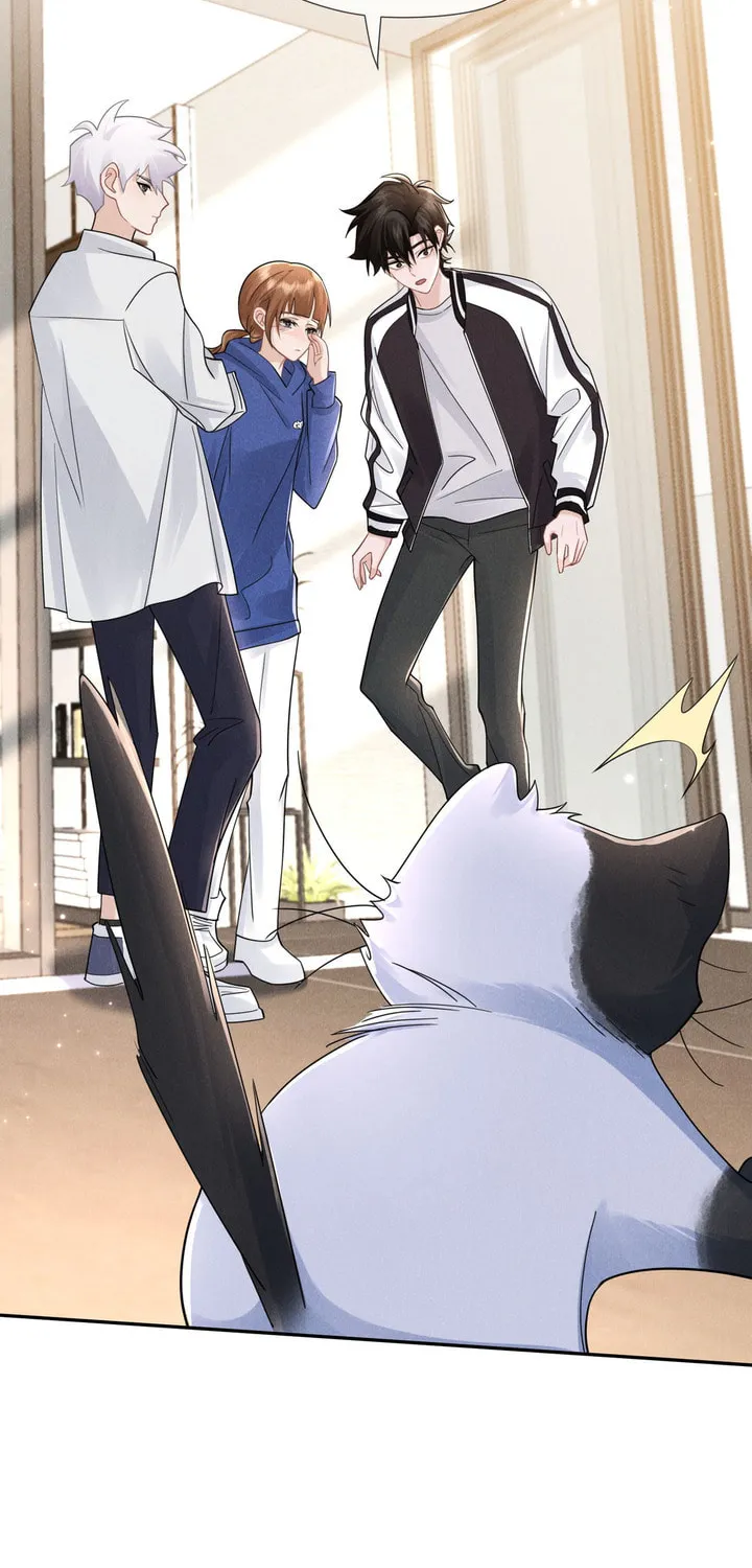 Link Click Chapter 20 page 46 - 