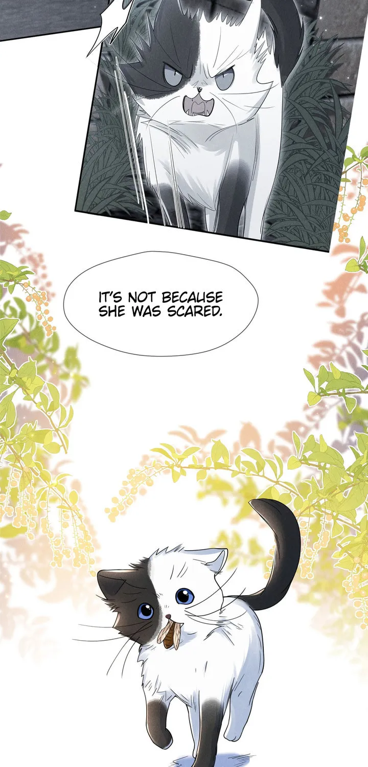 Link Click Chapter 20 page 51 - 
