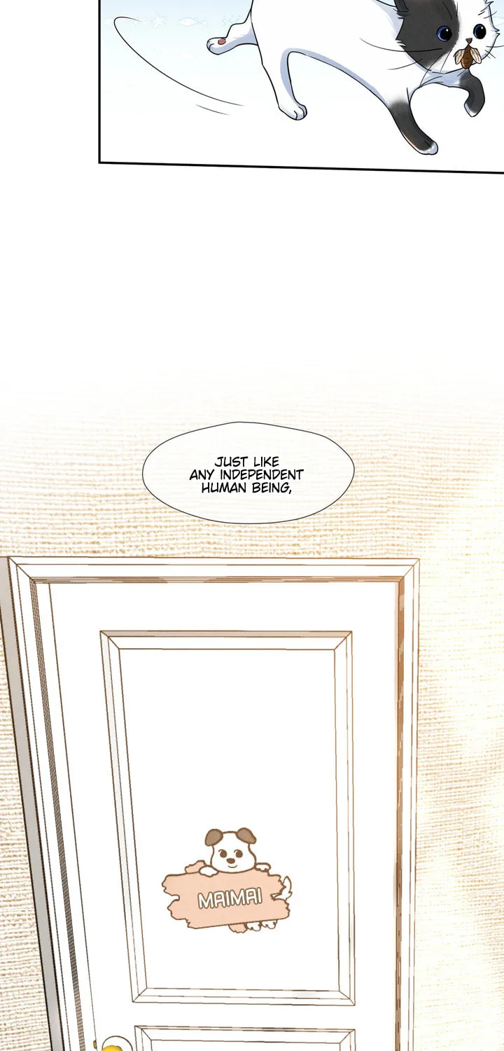 Link Click Chapter 20 page 55 - 