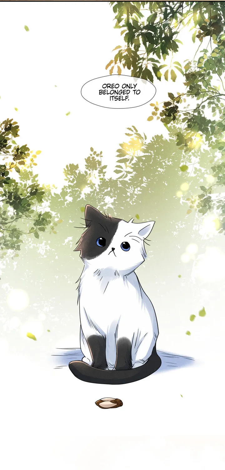 Link Click Chapter 20 page 57 - 