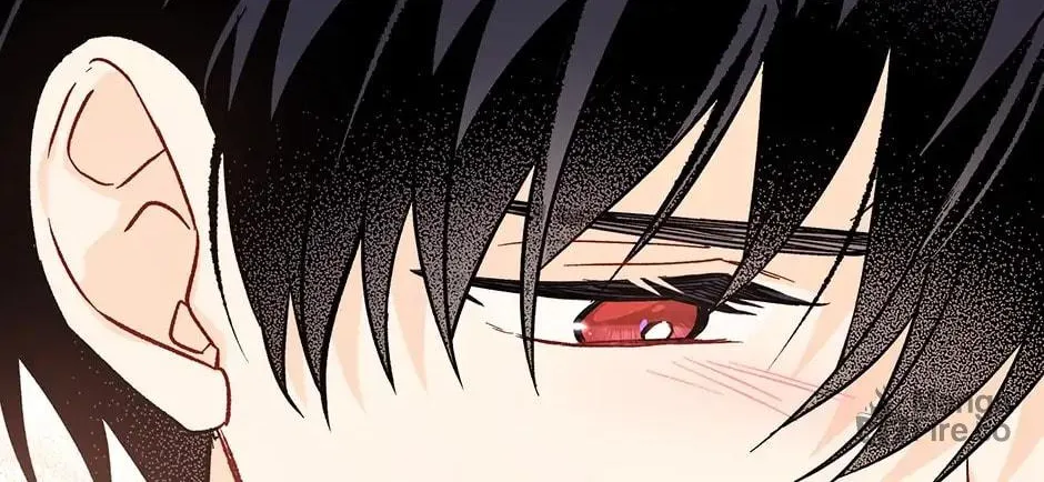 Little Rabbit and the Big Bad Leopard Chapter 101 page 150 - 
